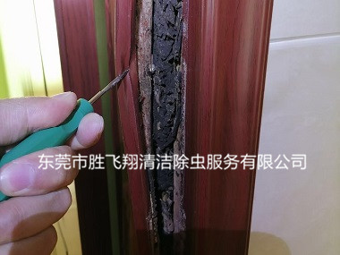 大岭山凯东新城杀白蚁