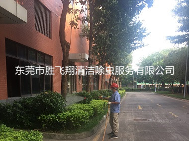 石龙小区环境四害消杀