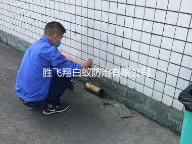 大岭山工厂仓库灭鼠服务