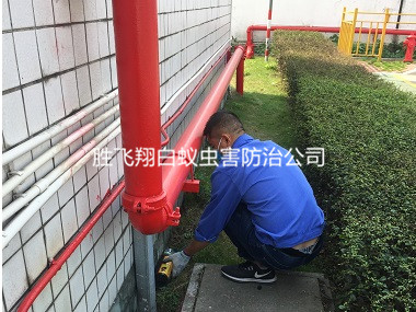 麻涌工厂区灭鼠工程