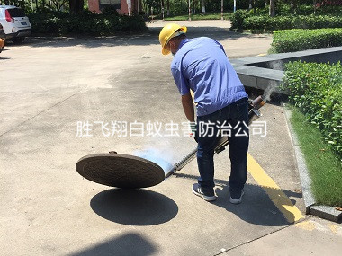 樟木头御景花园四害消杀