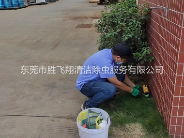 大岭山布放灭鼠屋工程