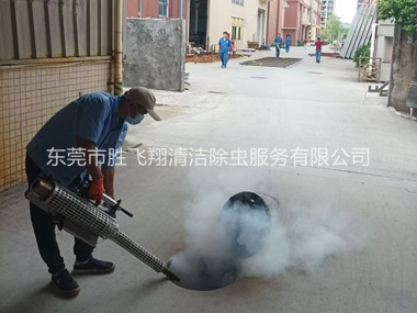 茶山街道消灭蚊虫工程