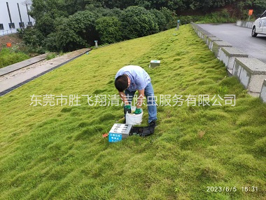 石碣水利堤坝鼠害防控工程