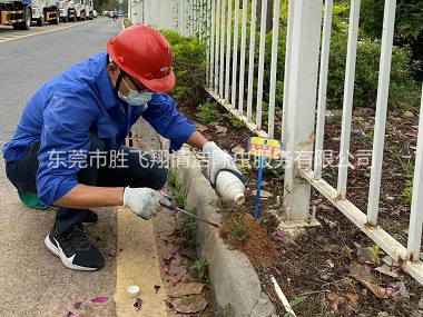 大朗红火蚁防治工程