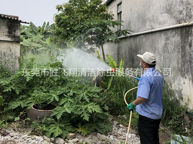 南城社区消灭蚊子工程